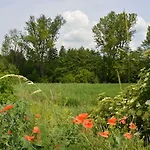 Na Zelenem Statku Gæstehus Rasovice (South Moravian)