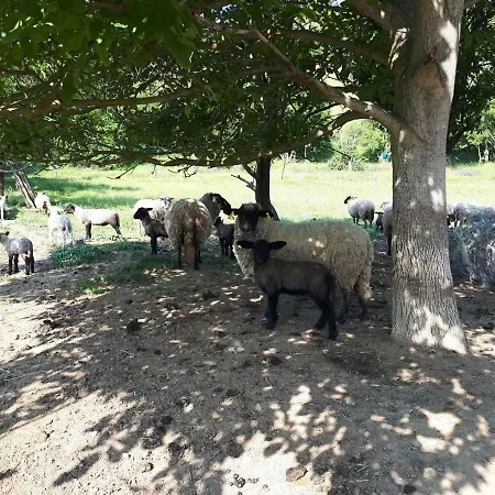 Affittacamere Na Zeleném Statku
