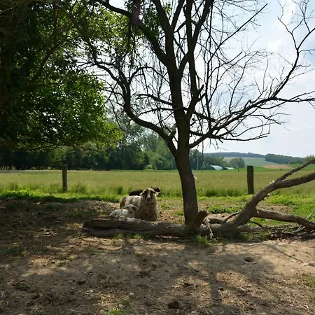 Na Zeleném Statku 3* Rasovice (South Moravian)