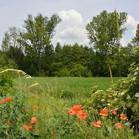 Na Zeleném Statku Affittacamere Rasovice (South Moravian)