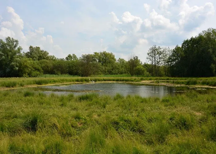 Gæstehus Na Zelenem Statku Rasovice (South Moravian)