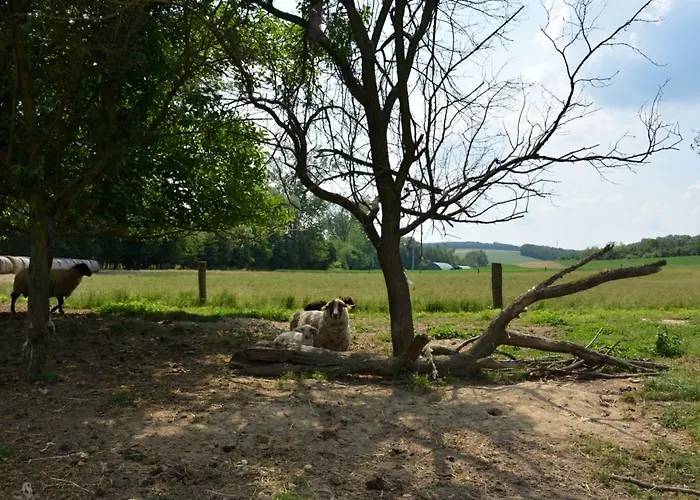 Na Zelenem Statku 3* Rasovice (South Moravian)