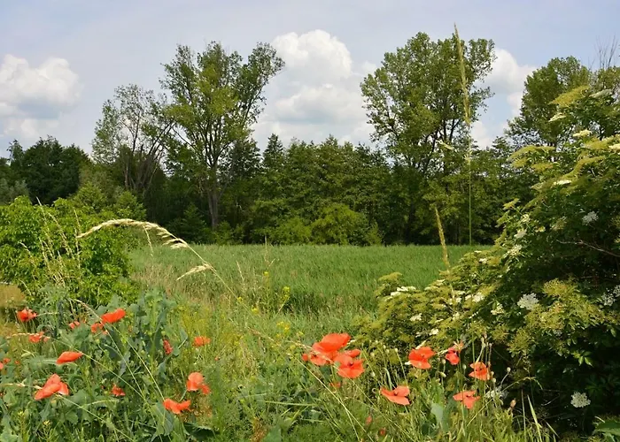 Na Zelenem Statku Gæstehus Rasovice (South Moravian)